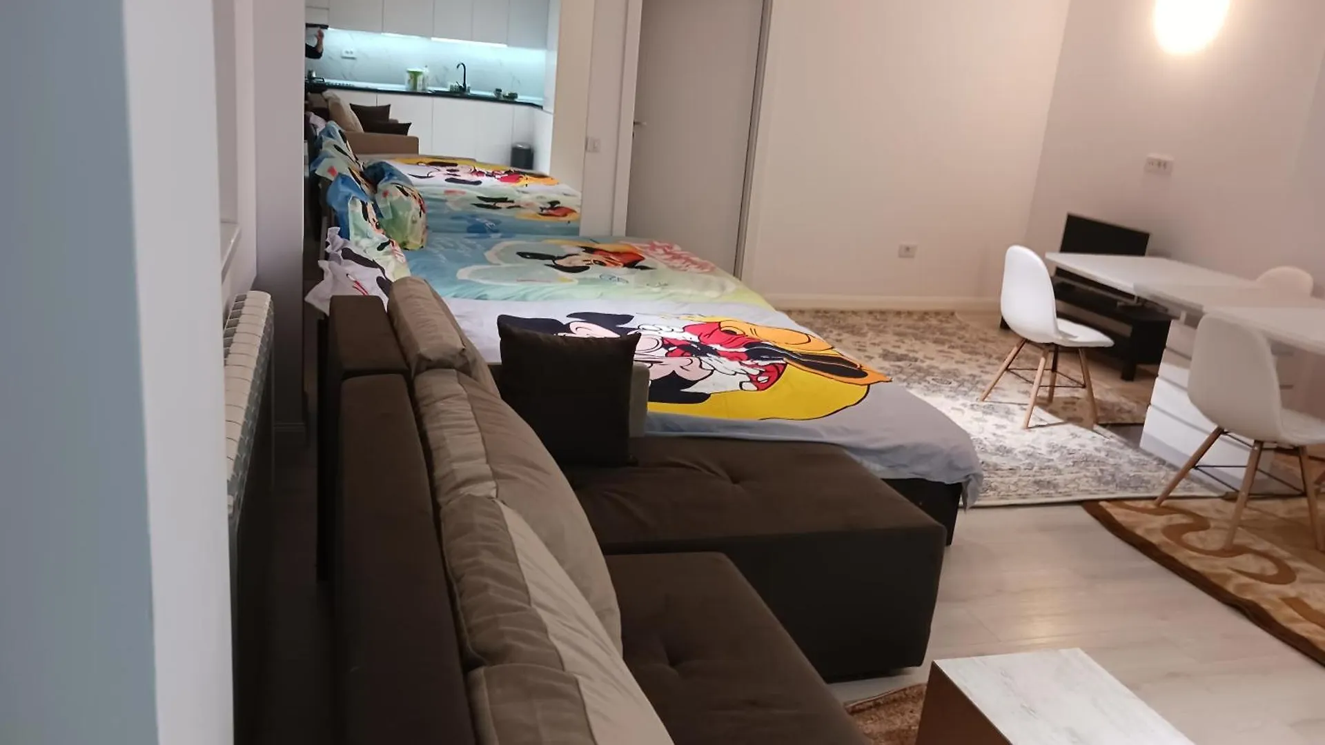 Myky Mouse Nu Primesc Santieristi Si Petrecareti Apartment Bucureşti