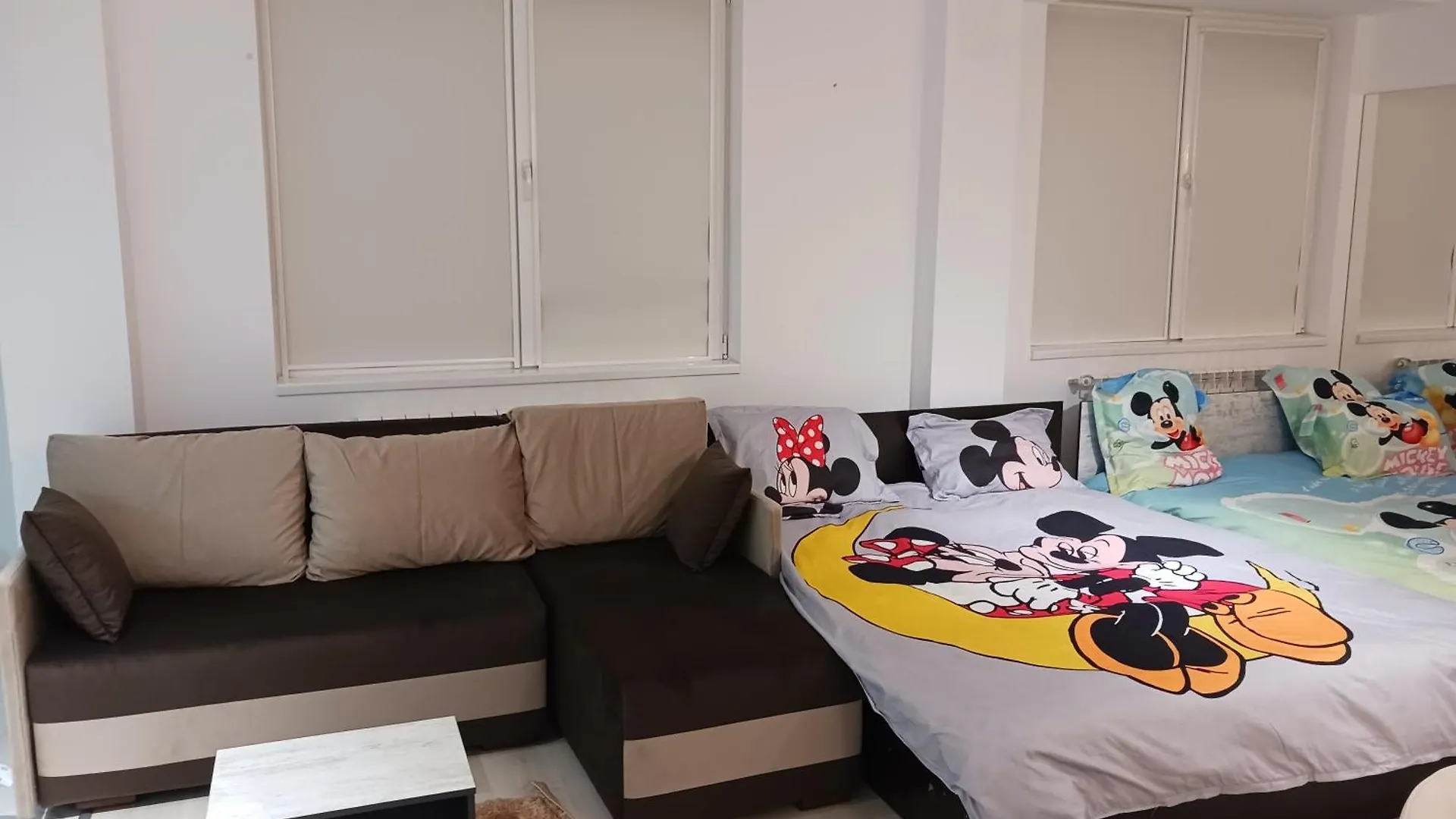 Myky Mouse Nu Primesc Santieristi Si Petrecareti Apartment Bucureşti