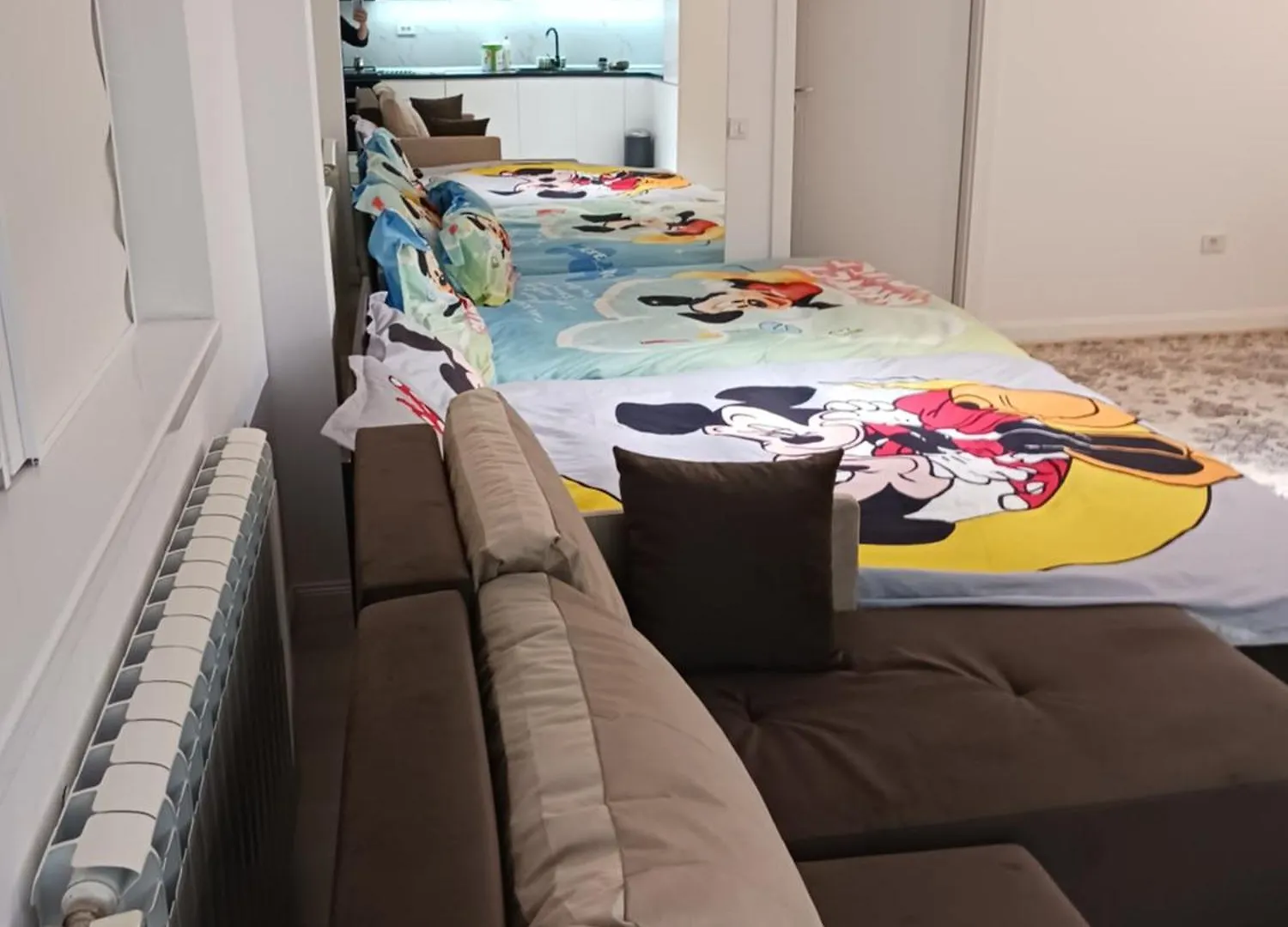 Myky Mouse Nu Primesc Santieristi Si Petrecareti Apartment Bucureşti