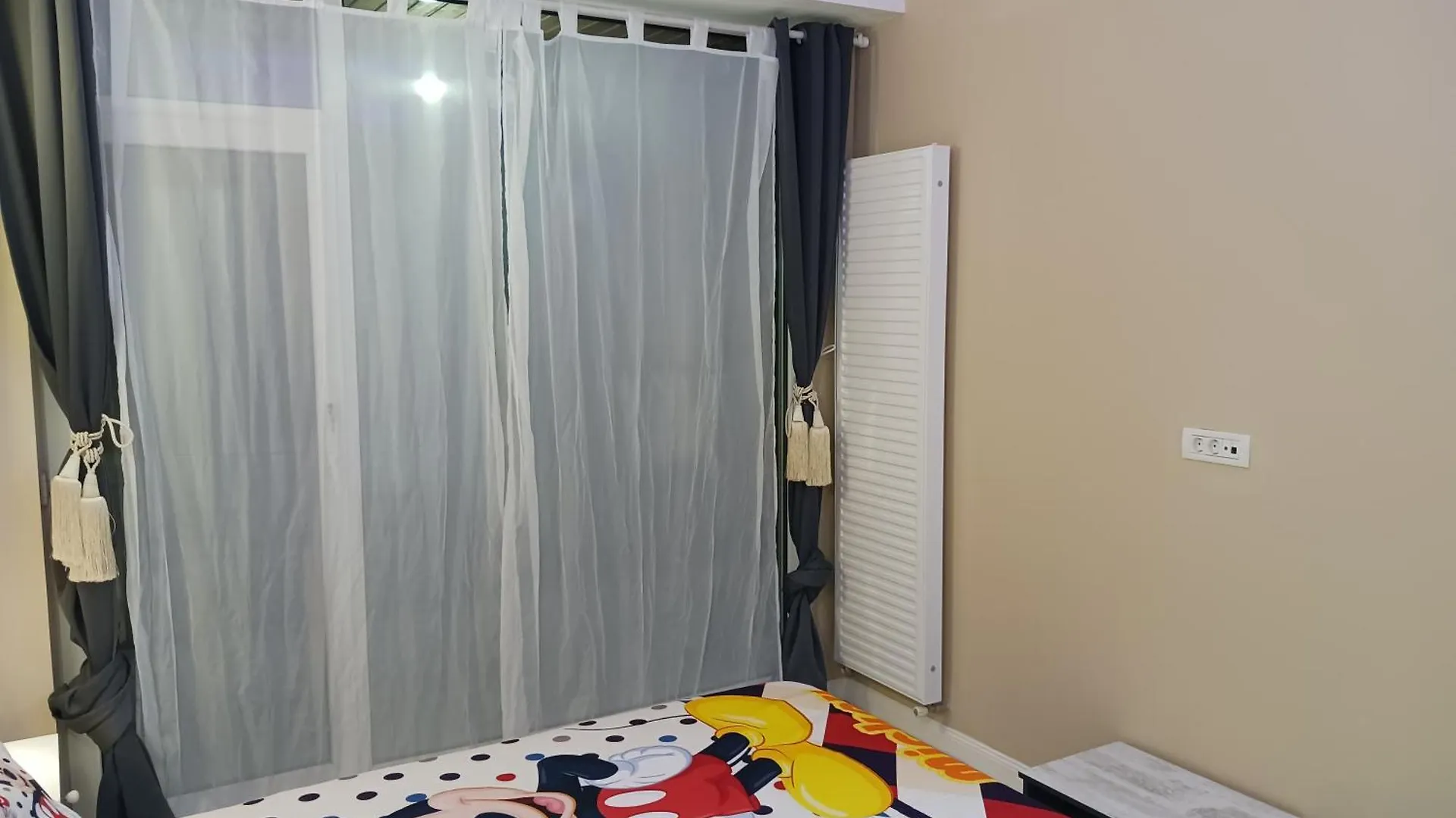 Myky Mouse Nu Primesc Santieristi Si Petrecareti Apartment Bucureşti