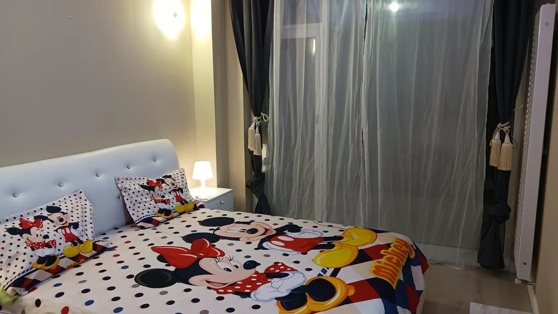 Myky Mouse Nu Primesc Santieristi Si Petrecareti Apartment Bucharest Romania