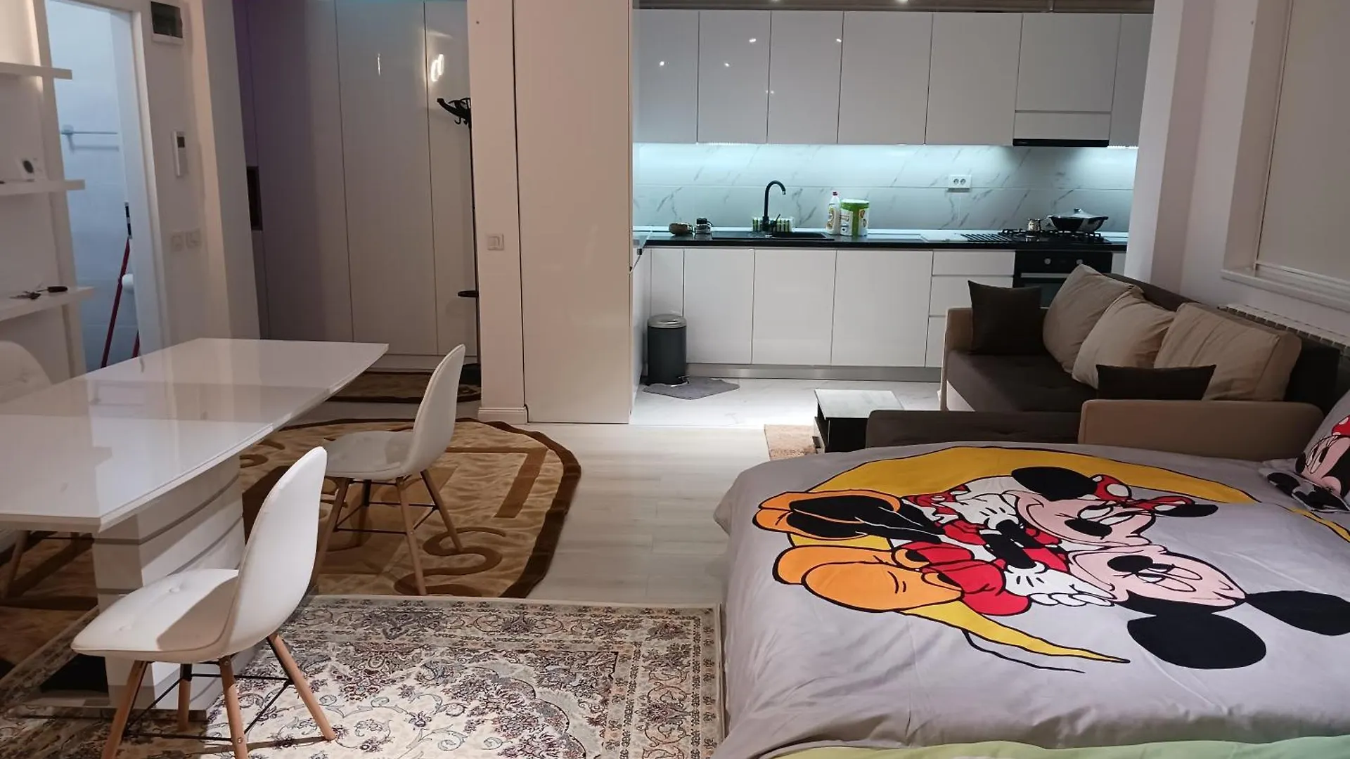 Myky Mouse Nu Primesc Santieristi Si Petrecareti Apartment Bucharest