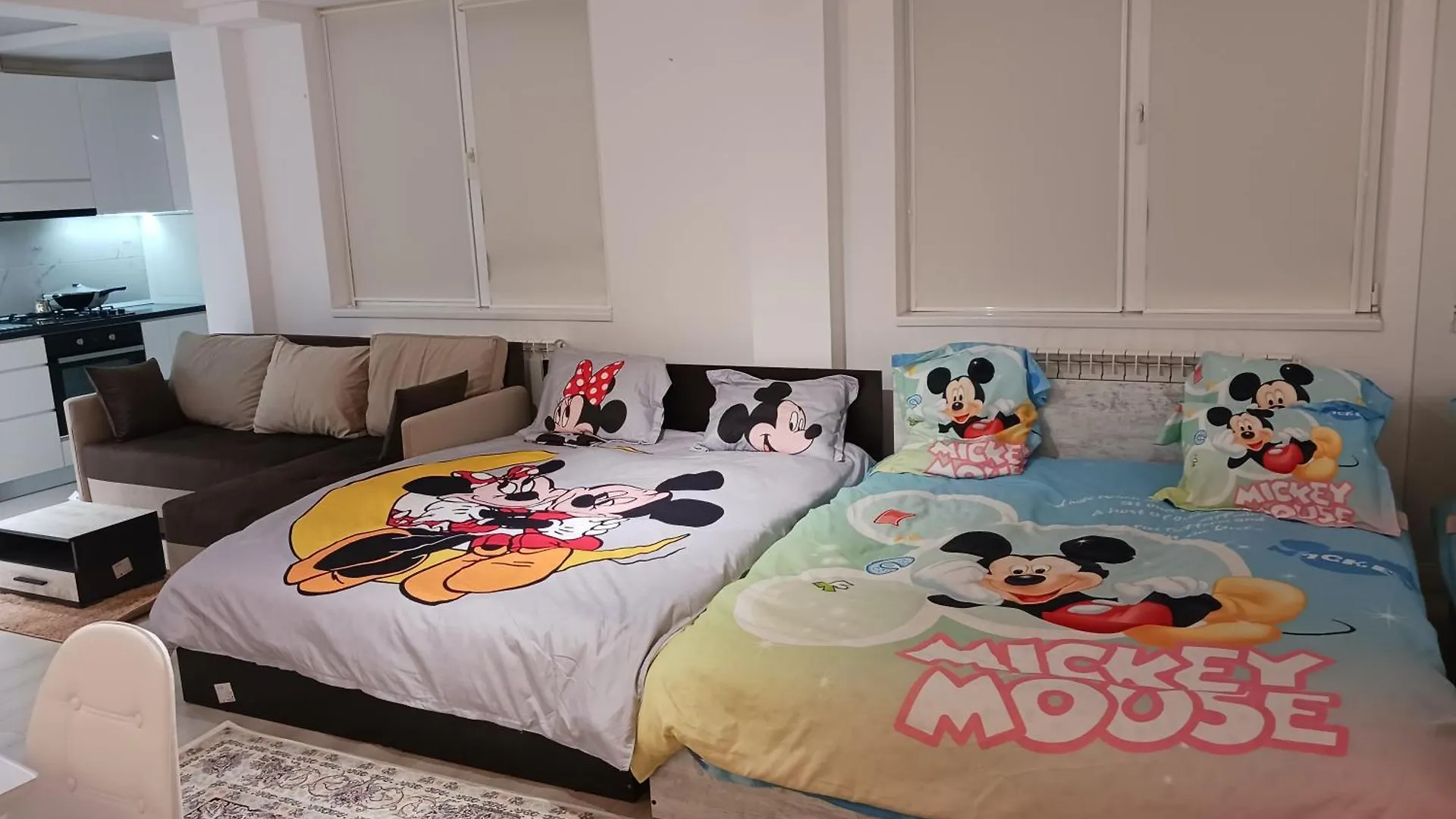 Myky Mouse Nu Primesc Santieristi Si Petrecareti Apartment Bucureşti 0*,