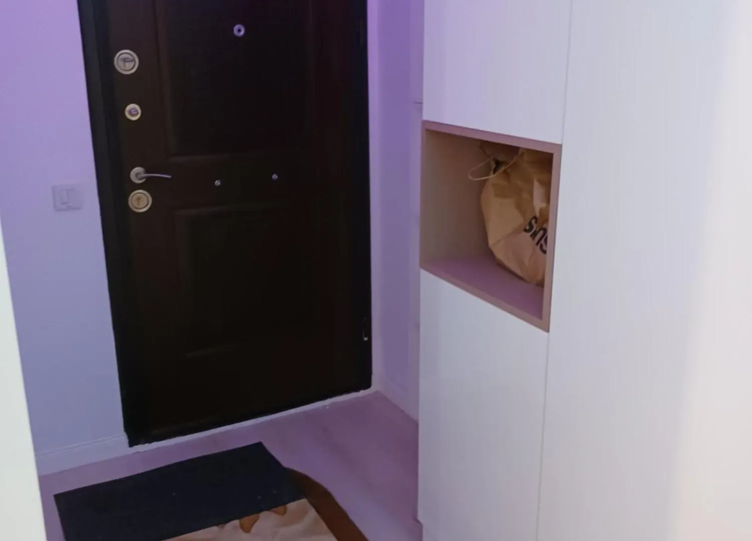 Apartament Myky Mouse Nu Primesc Santieristi Si Petrecareti Bukareszt Rumunia